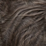 褐色毛发皮毛贴图