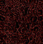 暗红色豹纹纹理图案