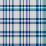 蓝白格子图案纹理