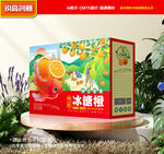 橙子包装 沃柑礼盒