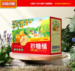 砂糖橘包装 桔子礼盒