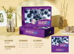 蓝莓包装礼盒