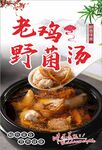 老鸡野菌汤