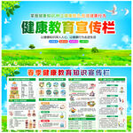 卫生与健康知识宣传栏