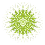 绿色放射状几何花纹图案