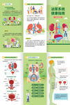 三折页 泌尿系统健康指南