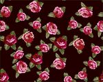 玫瑰花卉图案背景纹理