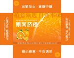 赣南脐橙礼盒包装展示