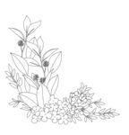 手绘植物花卉角落图案 矢量图