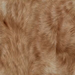 逼真动物毛发纹理