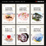 教师办公室文化墙