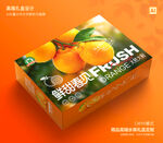 桔子包装 水果礼盒