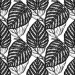 黑白叶脉图案纹理背景