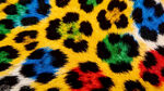 多彩豹纹图案纹理