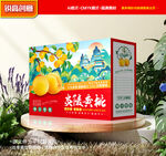 黄桃包装 蜜桃礼盒