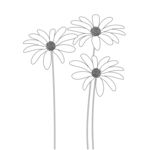 简约线条绘制的三朵雏菊花 矢量