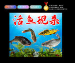 活鱼现杀