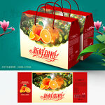 橙子包装 脐橙礼盒