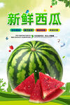 西瓜