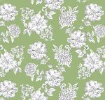 绿色底白色花卉图案背景