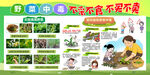 野菜中毒 不采不食 不买不卖