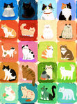 多彩猫咪图案集合