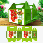 西红柿包装 小番茄礼盒