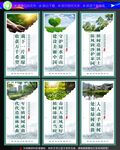 植树节展板