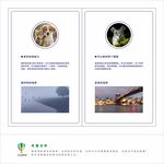 眼健康科普旅游景点宣传页展示