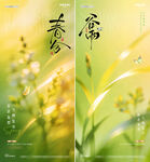 地产春分谷雨花卉春天风景海报