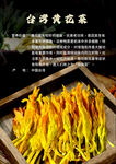 台湾黄花菜