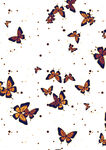 飞舞的多彩蝴蝶图案