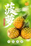 菠萝海报