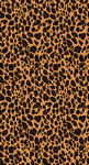 豹纹图案纹理背景图