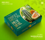 博洋蜜瓜包装 甜瓜礼盒