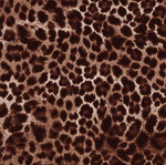 豹纹图案纹理素材