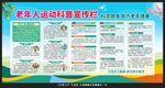 老年人运动健康教育宣传栏