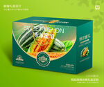 博洋蜜瓜礼盒 甜瓜包装