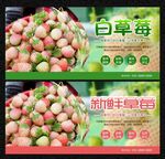 白草莓
