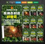 森林防火九不准