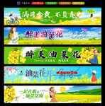 油菜花节条幅