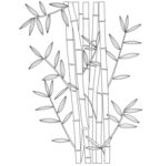 手绘简约风竹子线条图 矢量图