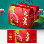 火龙果包装 水果礼盒