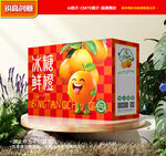橙子包装 沃柑礼盒