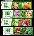 多样新鲜蔬菜展示