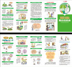 世界防治结核病日折页