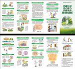 结核病防治日三折页