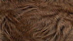 棕色高清动物毛发纹理