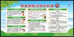 预防登革热知识宣传栏