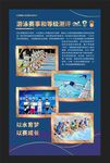 游泳赛事精彩活动展示